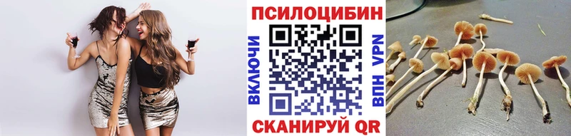 Псилоцибиновые грибы MAGIC MUSHROOMS Купить закладки Серафимович